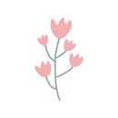 네일유스