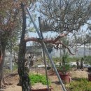 김주일농장 이미지