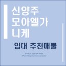 니케공인중개사사무소 이미지