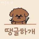 땡글하개 | 효성동미용실 땡글하개 가격 위치 영업시간 휴무일