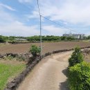 가자부동산공인중개사사무소 이미지