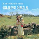 율약국 | 올가을 가족들과 함께 가면 좋은, 9월 제주도 여행지, 숙소