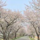 보리수유치원 | 2026년 4월 일기