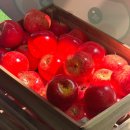 젤리베어 홀리데이 | [고양/행신] 홍대 웨이팅 맛집이 동네에?! '사과당 일산행신점' 오리지널 사과파이 &amp; 음료 포장 후기