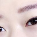 블랙스완래쉬 이미지