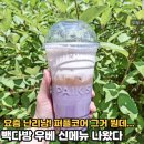 퍼플코어 빽다방 탑승! 우베 신메뉴 먹어보니...