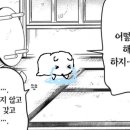 한션