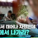 이민역사교실 행정사 이미지