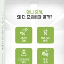 e-하얀치과 | 유니시티치과 앞니 충치 조기 치료가 중요합니다.