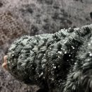 미라클모텔 | 12월 일상기록 上 - 먹고마시고 먹고마시고 방어방어대방어~ 먹고마시고 윗집사람들 바쁘다바빠 현대사회