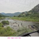 다슬기 포인트 이미지