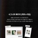 아폴로사진관 네이버블로그