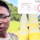 중국 배추,상추 이어 이번엔 죽순…유황으로 죽순 훈증 이미지
