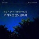 보홀 가족 여행 단독 반딧불투어 럭키호핑 후기 아반탄강 준비물