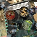 커피 선인장(suninjang) 이미지