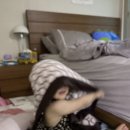 꽃집만남