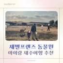 새별 | 제주도 서쪽 가볼만한 곳, 새별프렌즈 겨울 후기ㅣ아이랑 제주 여행