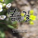 오카리나 Daum카페