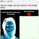 신기 Daum카페