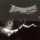 윤성약국 이미지