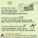 오씨드 이미지