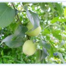 정남진농장 이미지