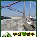 모라명성약국 이미지