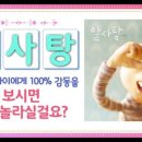 알사탕 이미지