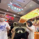 썬레코드(SUN RECORD) | 중국 상하이 여행 5회차의 상하이 필수 추천 느좋 코스 정보 총정리 꿀팁