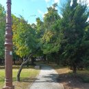 동아치과의원 이미지