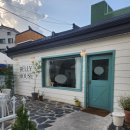 [수원 행궁동 벨리하우스] 행궁동 행리단길 양식 파스타, 피자 맛집 벨리하우스+애견동반 가능