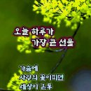행복한 하루 이미지