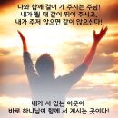 함께하는교회(광야119) | '죽어야 다시 사는 한 알의 밀알되어라'