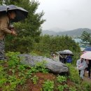 국곡리 고인돌 이미지