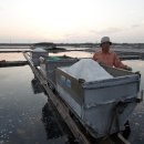 두우리 농장 이미지