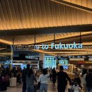 수원-1188 | 후쿠오카 2박3일 🇯🇵 1day..