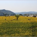 낙동강변20 이미지