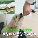 향기품은강아지 | 강아지 동결건조 열빙어 대용량 생동감트릿 가성비와 기호성 솔직 후기