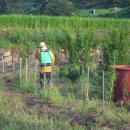 상월 농장 이미지