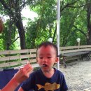 메이플요양병원 이미지