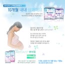 애니데이 이미지