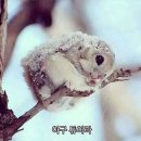 영등포메디칼약국 이미지