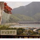 모닝플러스 | <가평 펜션 추천> 모닝힐펜션 계절마다 깊어진 풍경과 휴식