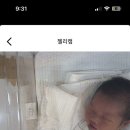 쭈꾸미도사(수유점) | 12월 일상🎄