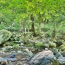 국립유명산자연휴양림 이미지