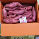 명지농장 이미지