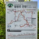 지리산 성중종주 무박 산행(성삼재-반야봉-천왕봉-중산리) 후기(25년6월)