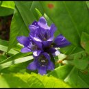 용담농장 이미지