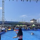 장흥청소년수련관 | 정남진 장흥물축제 첫날 다녀온 후기