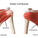 곡반정동PT하우스 이미지